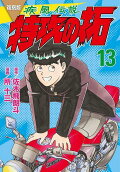 Vol. 13