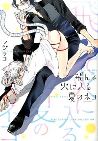 Tonde Hi ni Iru Natsu no Neko