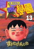 Vol. 13
