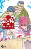 Vol. 11