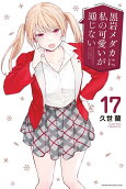 Vol. 17