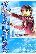 Sound of the Sky