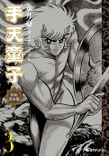 Vol. 3