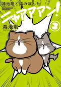 Vol. 3