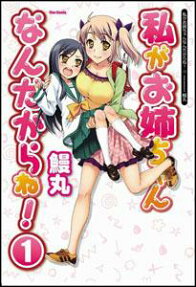 Watashi ga Oneechan Nan Dakara ne!