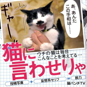 猫に言わせりゃ