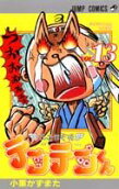 Vol. 13