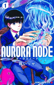 AURORA NODE