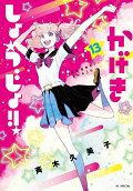 Vol. 13