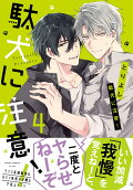 Vol. 4