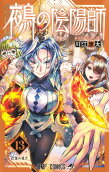Vol. 13