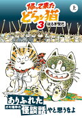 3권