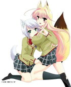 Vol. 5