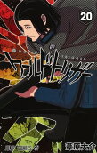Vol. 20