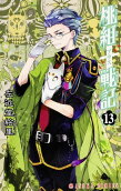 Vol. 13