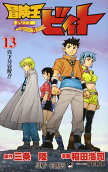 Vol. 13