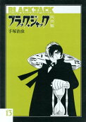 Vol. 13