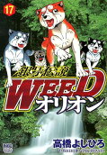 第17卷