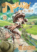 Vol. 20