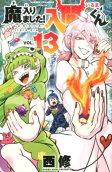 第13卷