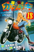 Vol. 18