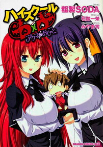 High School DxD: Akuma no Oshigoto