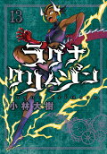 Vol. 13