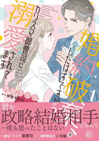 婚約破棄、したはずですが? : カリスマ御曹司に溺愛されてます