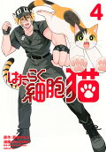 Vol. 4