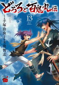 Vol. 13