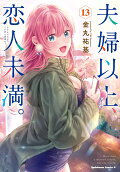 Vol. 13