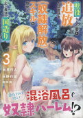 Vol. 3