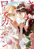 Vol. 3