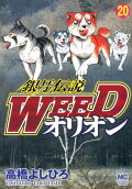 第20卷