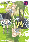 12권