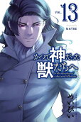Vol. 13
