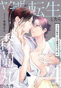 Vol. 4