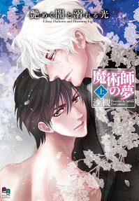 艶めく闇と溺れる光 : 魔術師の夢
