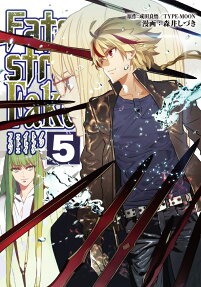 フェイト/ストレンジフェイク = Fate strange Fake