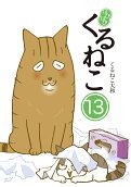 13권