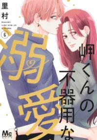 Vol. 6