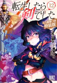 12권