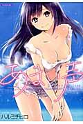 Amai Koe
