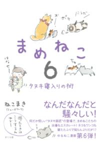 6권